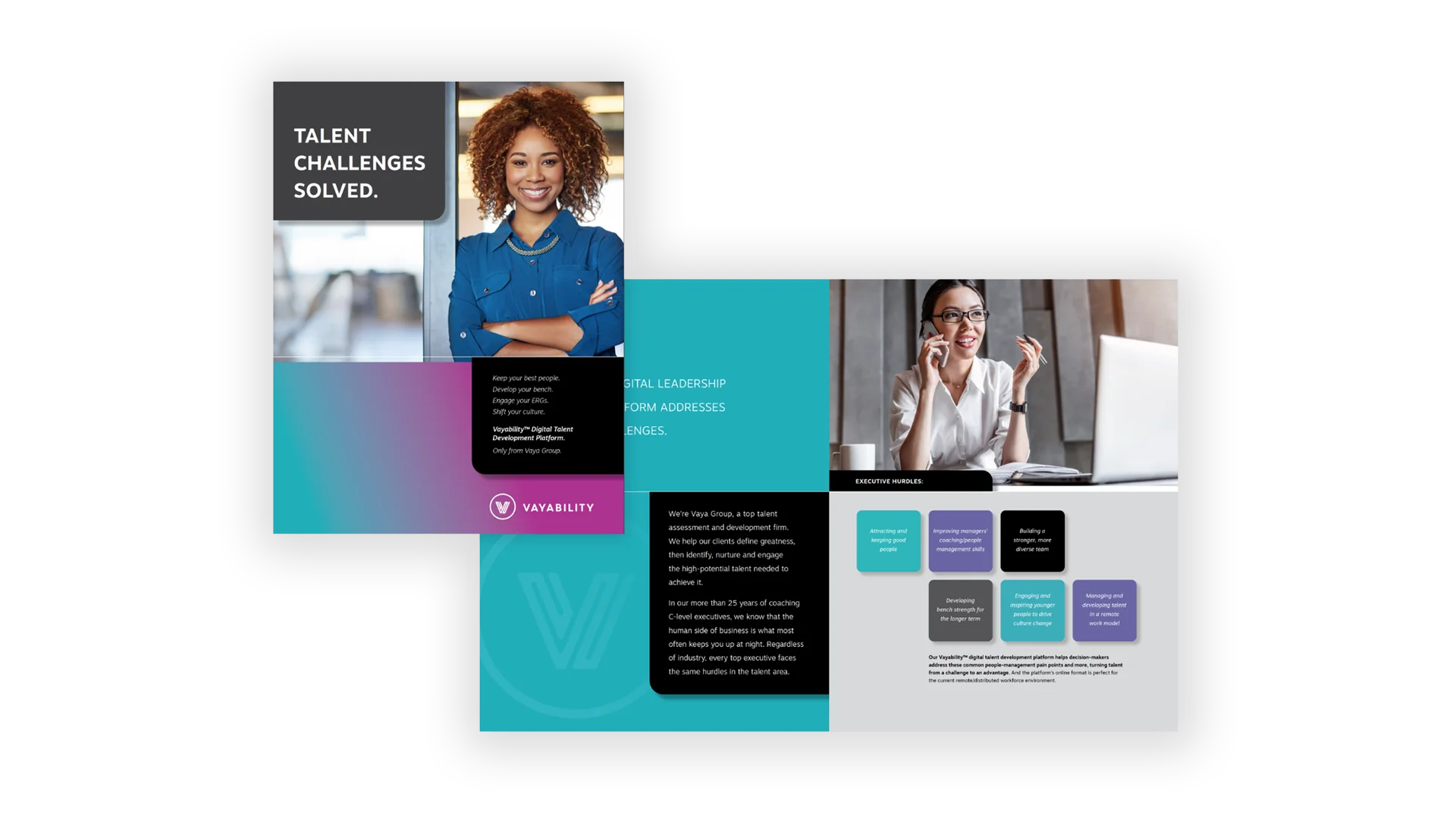 Vayability brochure