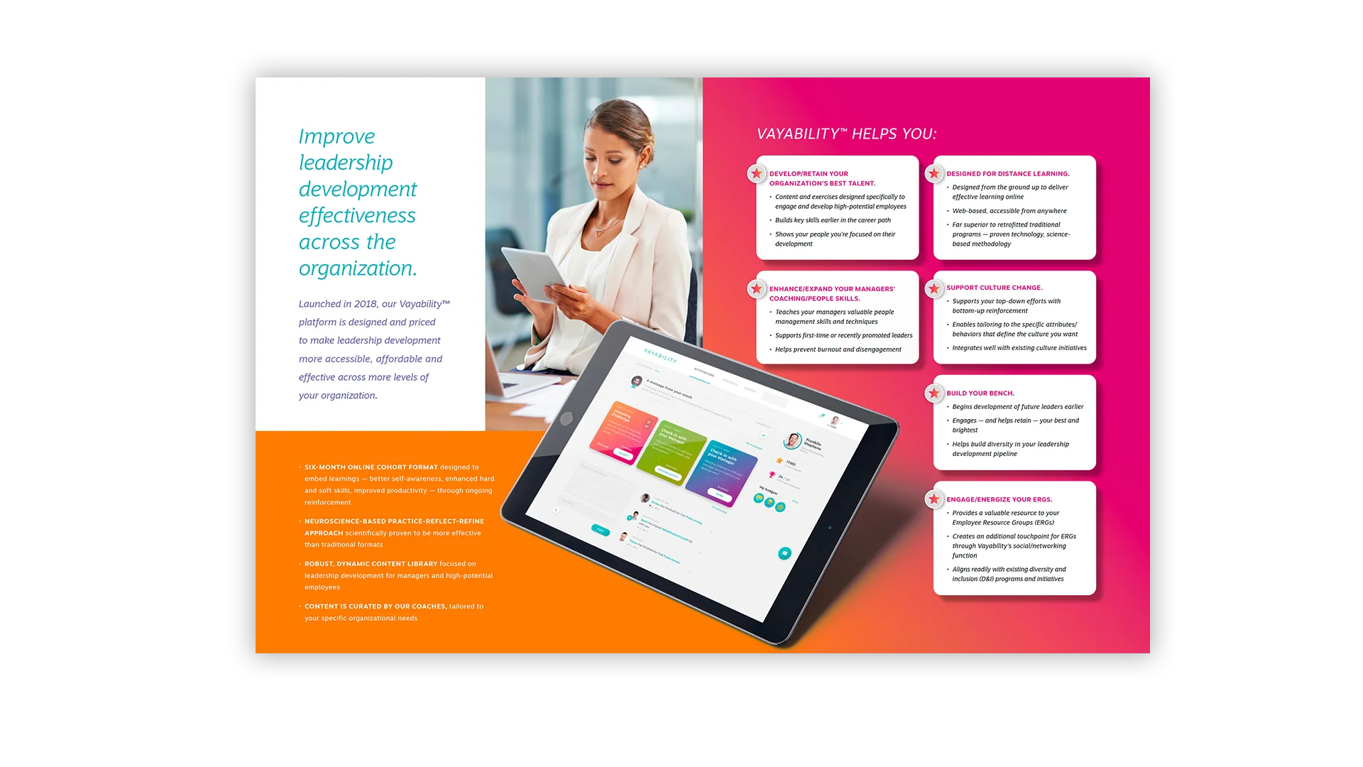 Vayability brochure